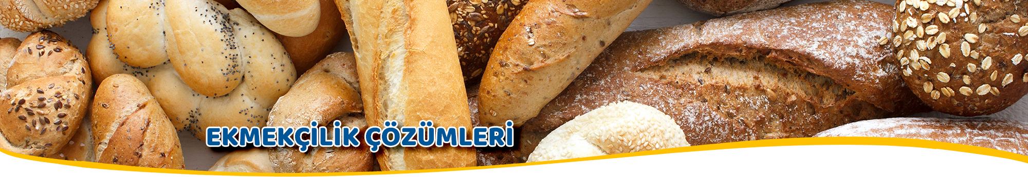 Ekmekilik zmleri