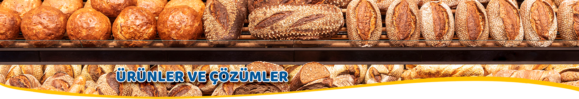 RNLER VE ZMLER